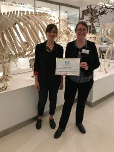 Large Museum of the Year